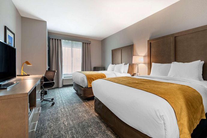 Imagen de la habitación del Hotel Comfort Inn and Suites Jacksonville - Orange Park Near Naval Air Station. Foto 2