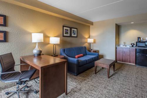 Imagen de la habitación del Hotel Comfort Inn and Suites Knoxville West. Foto 2