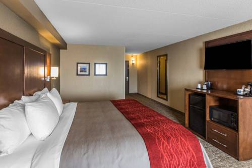 Imagen de la habitación del Hotel Comfort Inn and Suites Knoxville West. Foto 3
