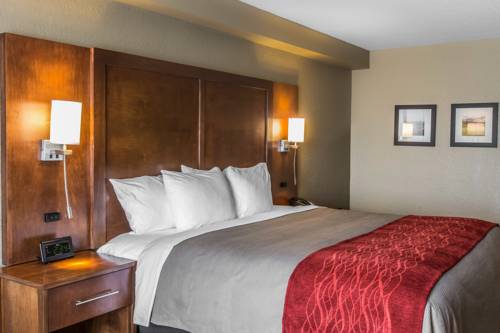 Imagen de la habitación del Hotel Comfort Inn and Suites Knoxville West. Foto 4