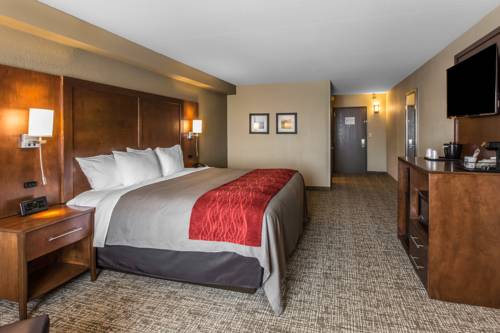 Imagen de la habitación del Hotel Comfort Inn and Suites Knoxville West. Foto 6