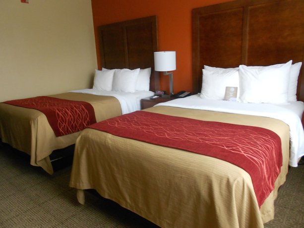 Imagen de la habitación del Hotel Comfort Inn and Suites Lakeland North I-4. Foto 5