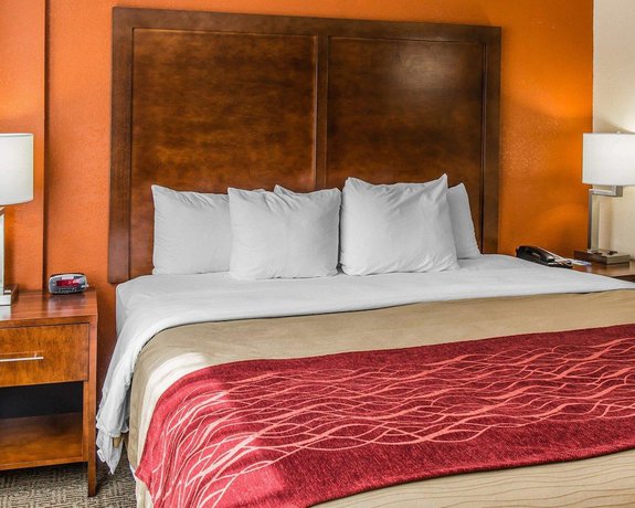 Imagen de la habitación del Hotel Comfort Inn and Suites Lakeland North I-4. Foto 7