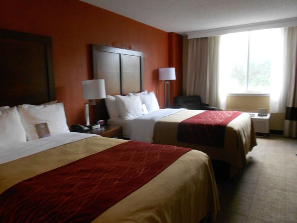 Imagen de la habitación del Hotel Comfort Inn and Suites Lakeland North I-4. Foto 12