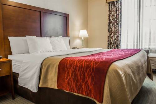Imagen de la habitación del Hotel Comfort Inn and Suites Lancaster Antelope Valley. Foto 2
