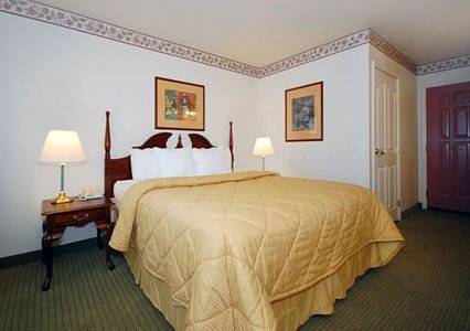 Imagen de la habitación del Hotel Comfort Inn and Suites Lancaster Antelope Valley. Foto 4