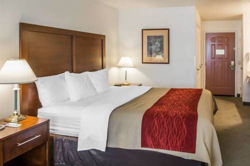 Imagen de la habitación del Hotel Comfort Inn and Suites Lancaster Antelope Valley. Foto 6