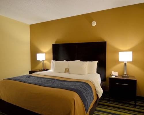 Imagen de la habitación del Hotel Comfort Inn and Suites Lantana - West Palm Beach South. Foto 9