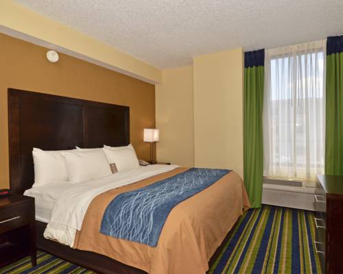 Imagen de la habitación del Hotel Comfort Inn and Suites Lantana - West Palm Beach South. Foto 10