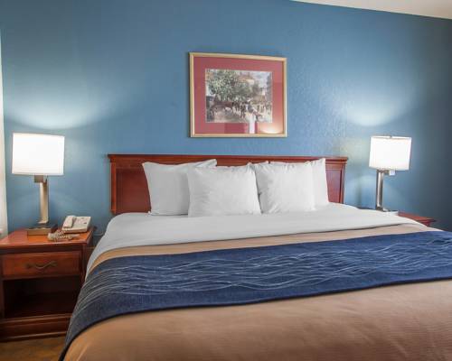 Imagen de la habitación del Hotel Comfort Inn and Suites Lees Summit - Kansas City. Foto 7