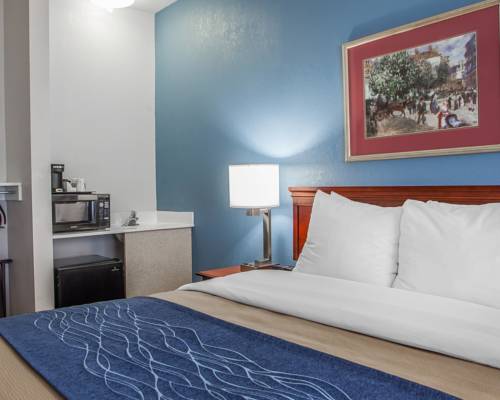 Imagen de la habitación del Hotel Comfort Inn and Suites Lees Summit - Kansas City. Foto 14