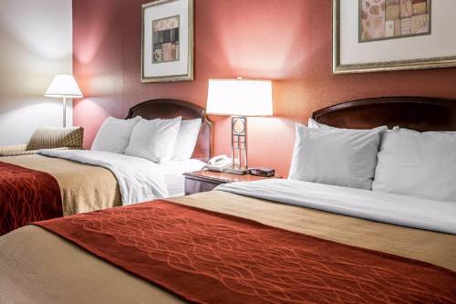 Imagen de la habitación del Hotel Comfort Inn and Suites Lenoir Hwy 321 Northern Foothills. Foto 4