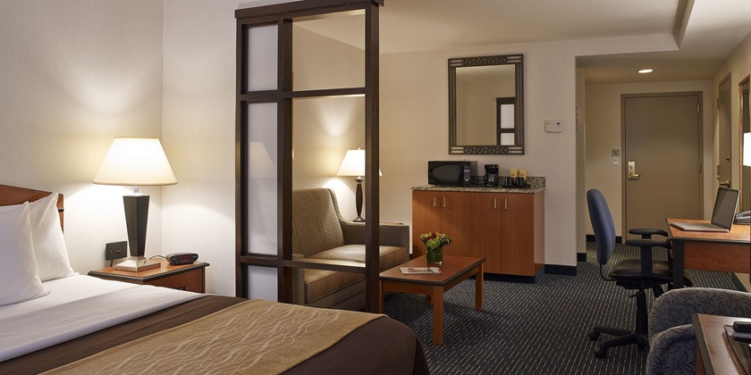 Imagen de la habitación del Hotel Comfort Inn and Suites Logan International Airport. Foto 3