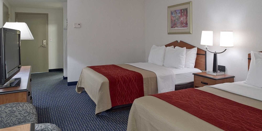 Imagen de la habitación del Hotel Comfort Inn and Suites Logan International Airport. Foto 8