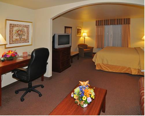 Imagen de la habitación del Hotel Comfort Inn and Suites, Lubbock . Foto 9