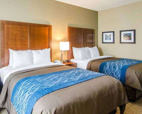 Imagen de la habitación del Hotel Comfort Inn and Suites Lynchburg Airport - University Area. Foto 1