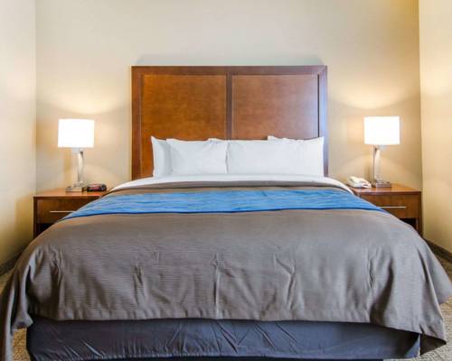 Imagen de la habitación del Hotel Comfort Inn and Suites Lynchburg Airport - University Area. Foto 4