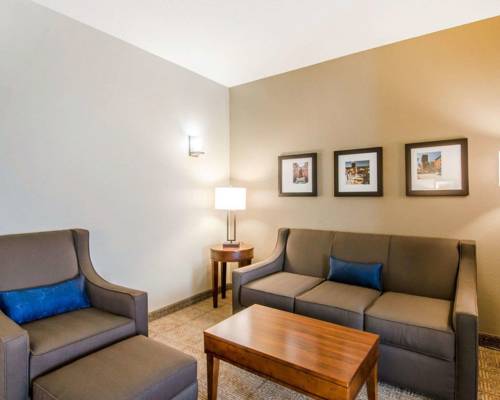 Imagen de la habitación del Hotel Comfort Inn and Suites Lynchburg Airport - University Area. Foto 5