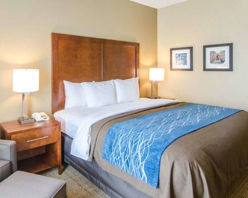 Imagen de la habitación del Hotel Comfort Inn and Suites Lynchburg Airport - University Area. Foto 6