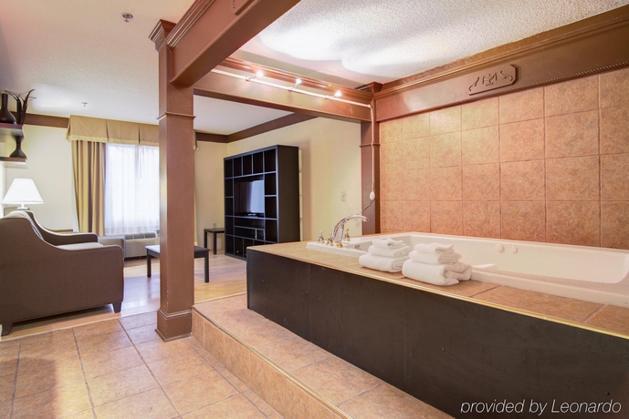Imagen general del Hotel Comfort Inn and Suites Macon North I-75. Foto 12