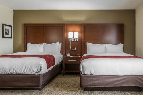 Imagen de la habitación del Hotel Comfort Inn and Suites Macon West. Foto 2