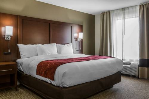 Imagen de la habitación del Hotel Comfort Inn and Suites Macon West. Foto 3