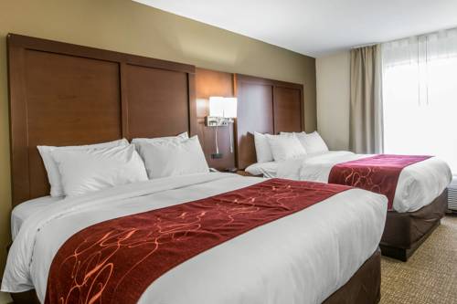 Imagen de la habitación del Hotel Comfort Inn and Suites Macon West. Foto 7