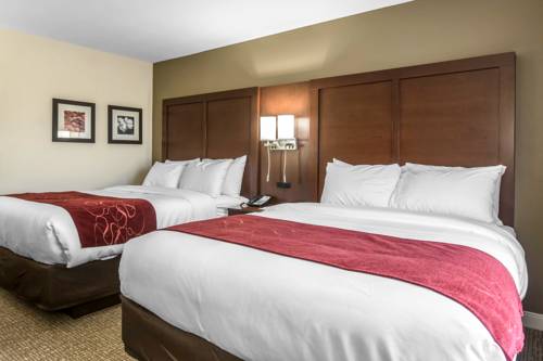 Imagen de la habitación del Hotel Comfort Inn and Suites Macon West. Foto 9