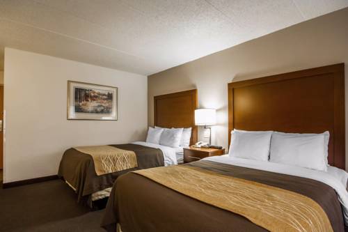 Imagen de la habitación del Hotel Comfort Inn and Suites Madison - Airport. Foto 1