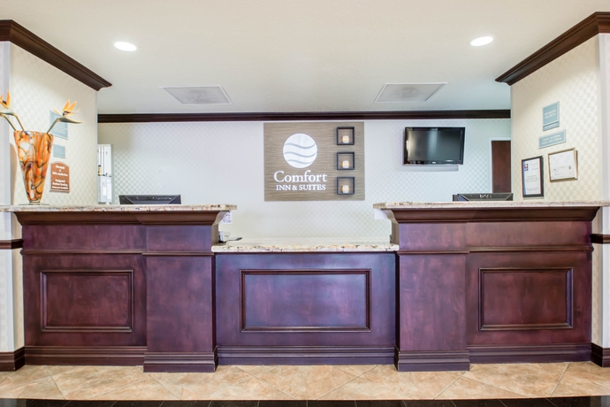 Imagen de los interiores del Hotel Comfort Inn and Suites Maingate South. Foto 4