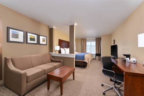 Imagen de la habitación del Hotel Comfort Inn and Suites Mandan - Bismarck. Foto 11