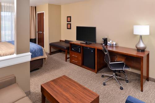 Imagen de la habitación del Hotel Comfort Inn and Suites Mandan - Bismarck. Foto 14