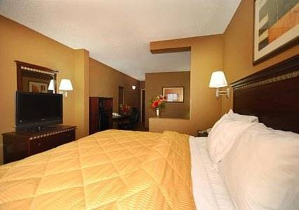 Imagen de la habitación del Hotel Comfort Inn and Suites Marianna I-10. Foto 2