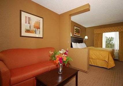 Imagen de la habitación del Hotel Comfort Inn and Suites Marianna I-10. Foto 3