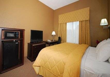 Imagen de la habitación del Hotel Comfort Inn and Suites Marianna I-10. Foto 4