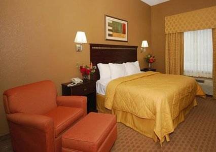 Imagen de la habitación del Hotel Comfort Inn and Suites Marianna I-10. Foto 8