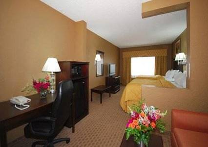 Imagen de la habitación del Hotel Comfort Inn and Suites Marianna I-10. Foto 10