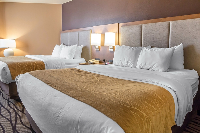 Imagen de la habitación del Hotel Comfort Inn and Suites Market - Airport. Foto 4