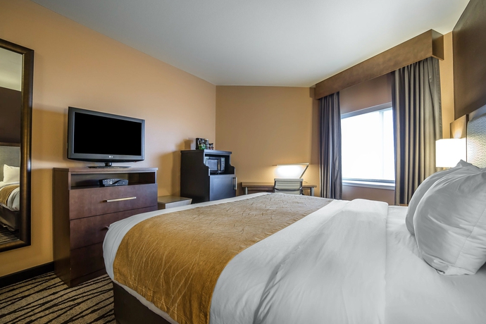 Imagen de la habitación del Hotel Comfort Inn and Suites Market - Airport. Foto 8