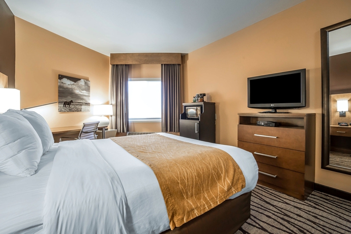 Imagen de la habitación del Hotel Comfort Inn and Suites Market - Airport. Foto 12