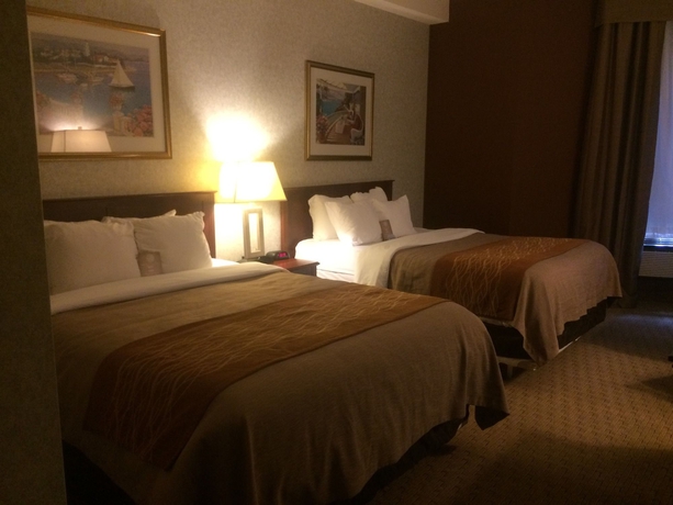 Imagen de la habitación del Hotel Comfort Inn and Suites Medicine Hat. Foto 10