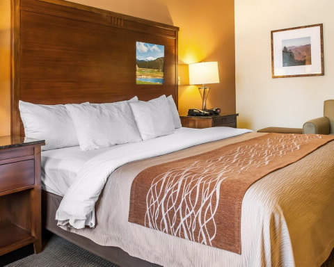 Imagen de la habitación del Hotel Comfort Inn and Suites Midtown. Foto 6