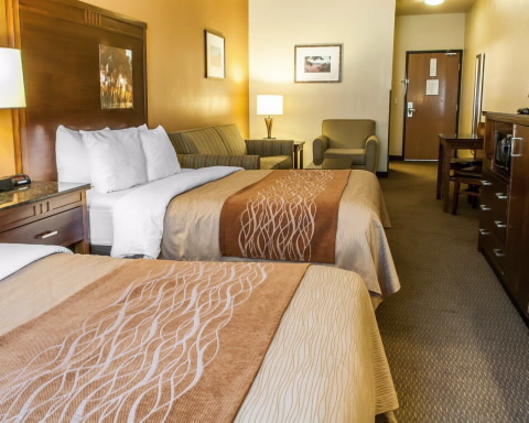 Imagen de la habitación del Hotel Comfort Inn and Suites Midtown. Foto 8