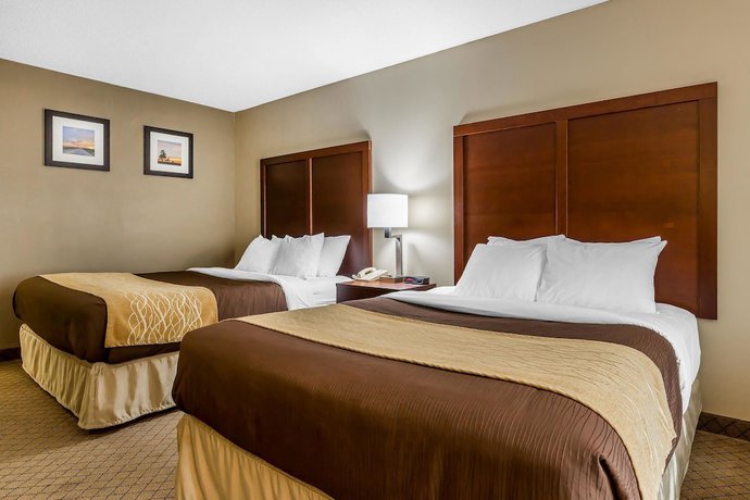 Imagen de la habitación del Hotel Comfort Inn and Suites Mishawaka - South Bend. Foto 5