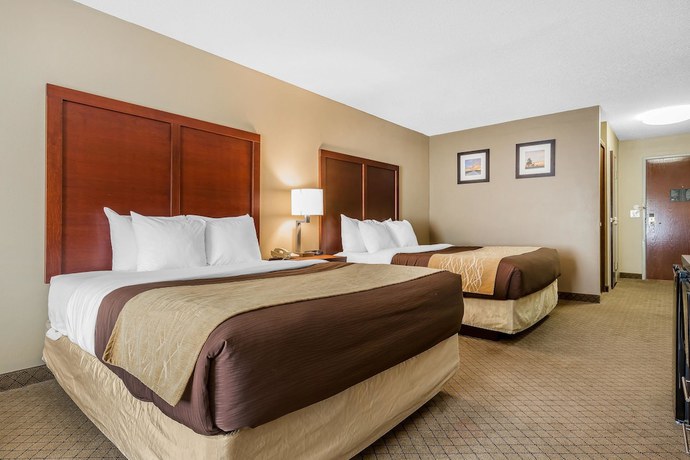 Imagen de la habitación del Hotel Comfort Inn and Suites Mishawaka - South Bend. Foto 9