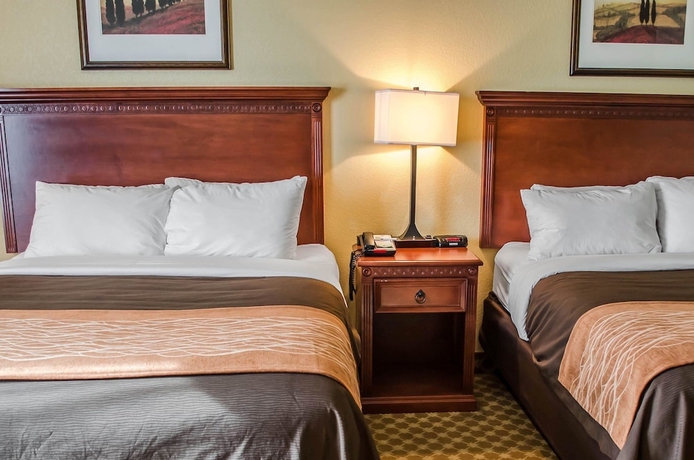 Imagen de la habitación del Hotel Comfort Inn and Suites Mobile Near Eastern Shore Centre. Foto 3