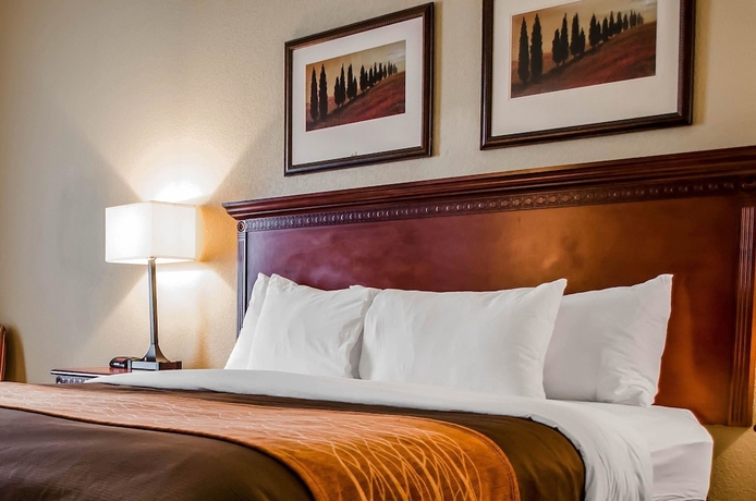 Imagen de la habitación del Hotel Comfort Inn and Suites Mobile Near Eastern Shore Centre. Foto 6