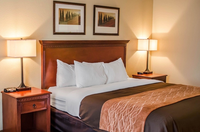 Imagen de la habitación del Hotel Comfort Inn and Suites Mobile Near Eastern Shore Centre. Foto 7