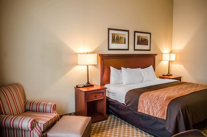 Imagen de la habitación del Hotel Comfort Inn and Suites Mobile Near Eastern Shore Centre. Foto 14