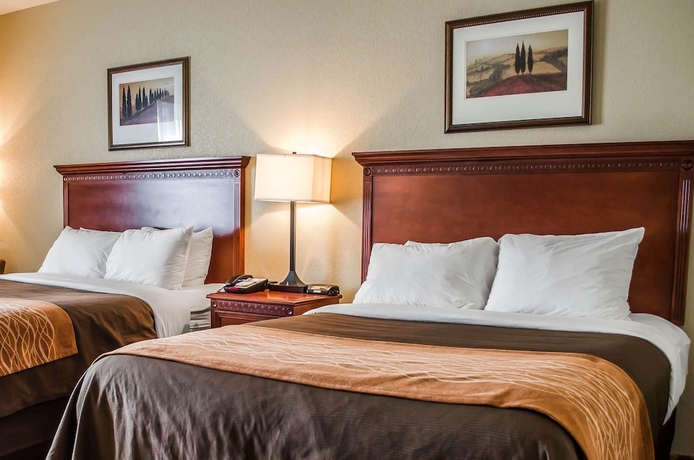 Imagen de la habitación del Hotel Comfort Inn and Suites Mobile Near Eastern Shore Centre. Foto 16
